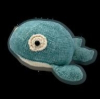 Willy Walvis