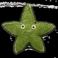 Sterre Zeester